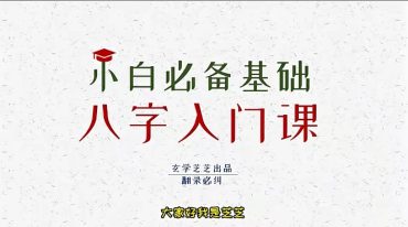 芝芝 八字象法