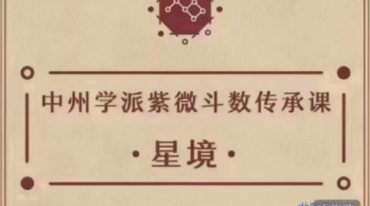 陈仲易中州派紫薇斗数内部讲座课程 全套课程合集230多节