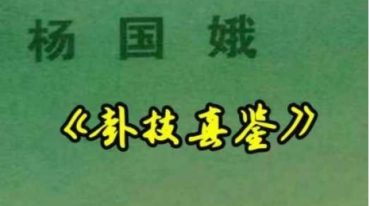 杨国娥卦技真鉴