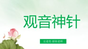 观音神针