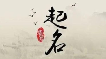 素道取名