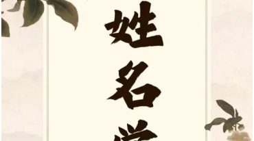 张秉逵姓名学面授录音