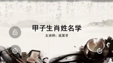 COA机构 延紫苓老师 生肖姓名学初阶+进阶(视频课程)