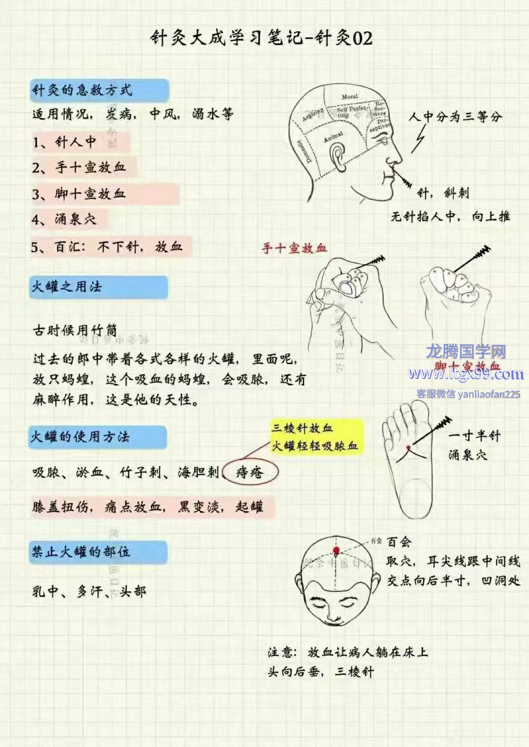 祝余《针灸大成图文笔记》68页 彩色版_龙腾国学网