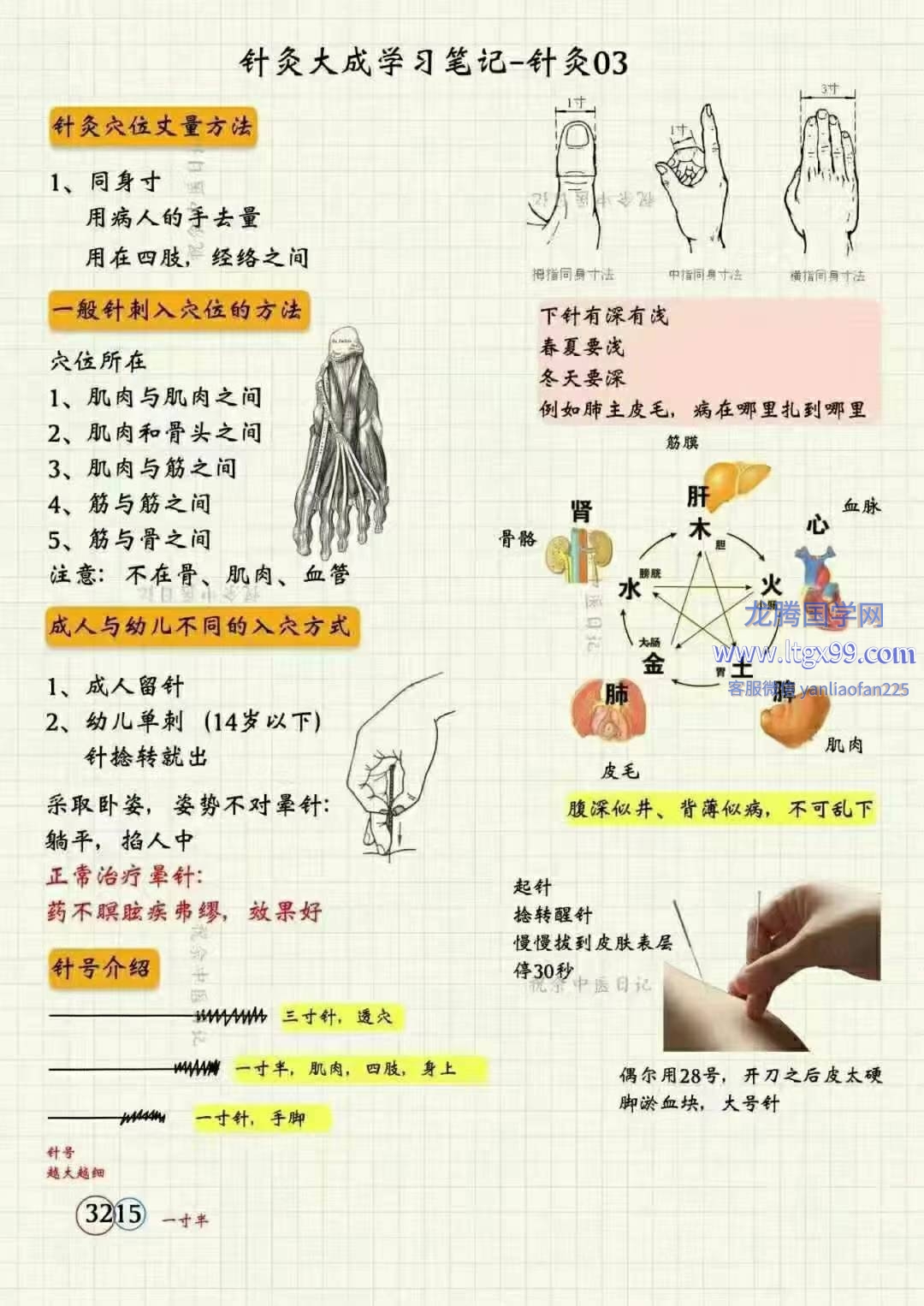 祝余《针灸大成图文笔记》68页 彩色版_龙腾国学网