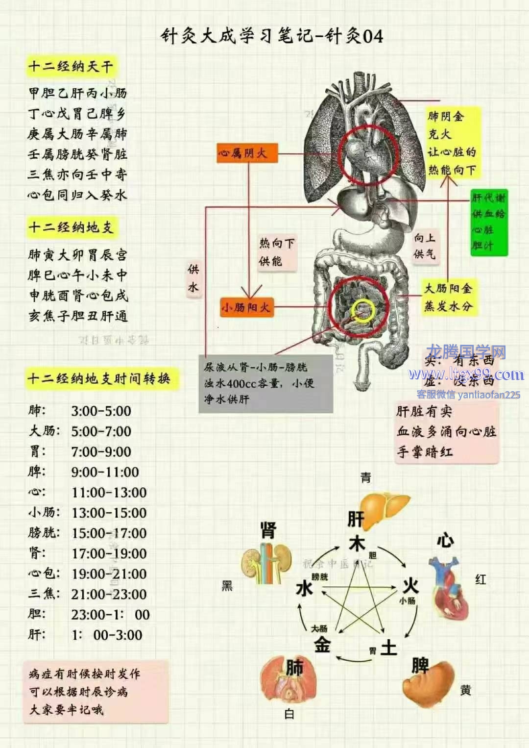 祝余《针灸大成图文笔记》68页 彩色版_龙腾国学网