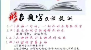 雷麒宗形家观字术