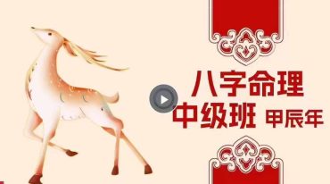 玄而未决八字命理初中教学视频合集