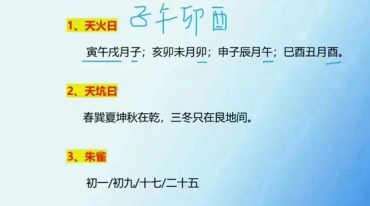 梅花五瓣开老师三元 正五行择日33集视频【原版】