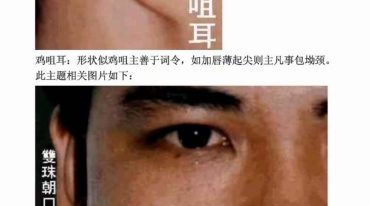 精准面相真人图解.pdf