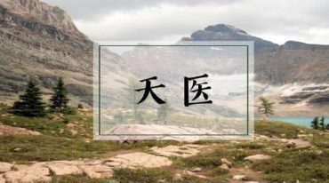 凤麟宗天医密相 敏真师父的告别课 门内独门秘传核心绝技