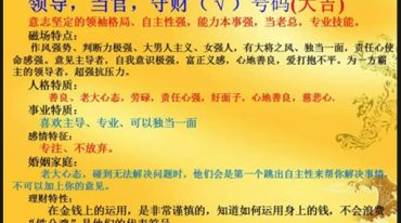 雷麒宗手机配号秘法大全 电子文档资料