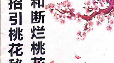招桃花和断烂桃花秘法.pdf