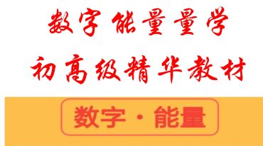 数字学：数字定乾坤数字能量量学初高级精华教材 .pdf
