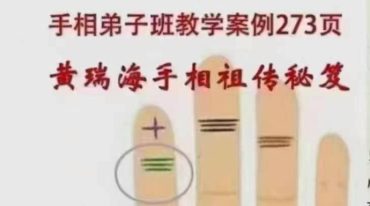 黄瑞海手相弟子班教学案例273页，200个案例纯净版.pdf