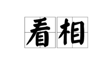 看相知病.pdf