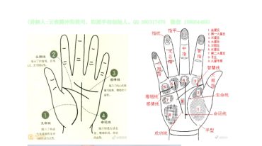 阳派手相电子版讲义79册大合集