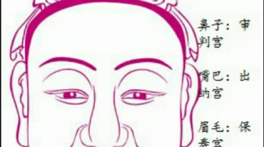 玄元鹤面相学初级班+中级班录音及资料
