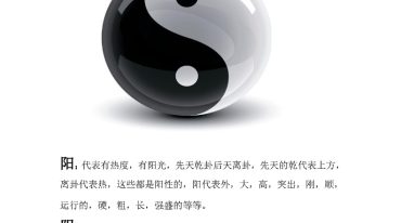 随缘手相.pdf