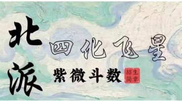 墨尘（一清）授课紫薇斗数
