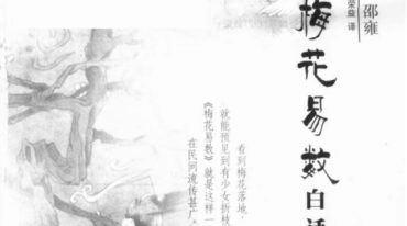 贺云飞梅花40集+贺云飞解读-梅花易数白话解