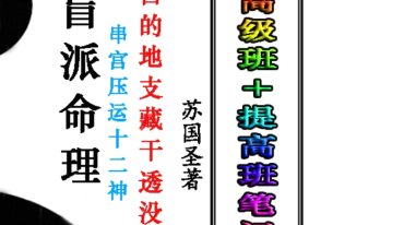 苏国圣-盲派宫压运《盲派命理2021年高级班＋提高班笔记》.pdf