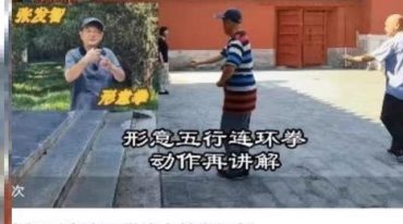 张发智形意连环拳线上教学视频