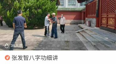 张发智八字功细讲28集视频