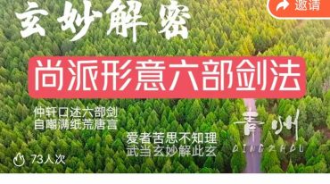 玄妙解密尚派形意六部剑法