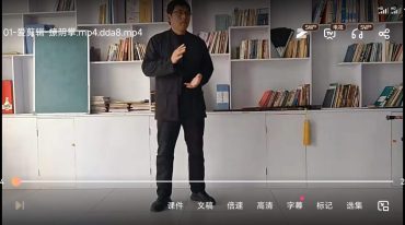 玄妙传武必练技击之撩阴掌