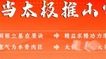 秦玄妙-太极推山掌