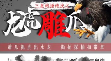 三皇炮捶之龙虎雕爪