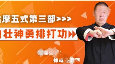 徐晓冬达摩易筋经外勇功，排打高级