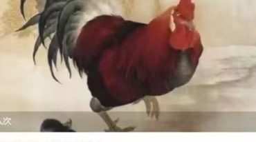 心意拳老三篇之鸡腿
