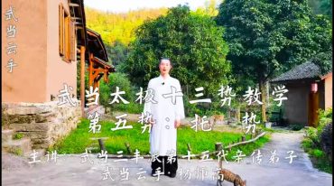 武当太极杨师高【太极拳十三势武当三丰太极13势逐招详解教学居家学习太极武术】17节