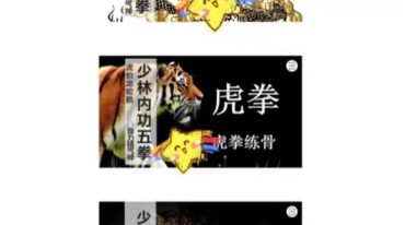 少林内功五拳……龙、虎、豹
