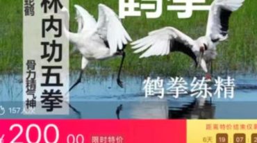 少林内功五拳：鹤拳（鹤拳练精）