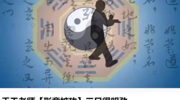 千于老师【形意桩功】三日得明劲