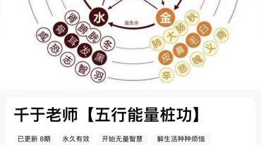 千于老师《五行能量桩功》