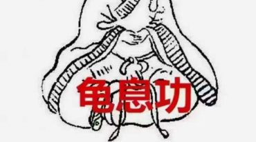龟息功 养打同练