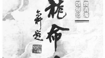 渊龙命学（陈宝良上下）