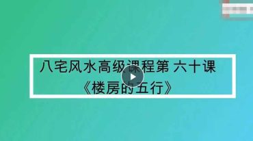 圣易《梅花易数+八宅高级课程》 64集