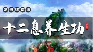 武当终南派十二息养生功