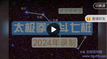 太极北斗七桩（高级）
