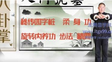 徐晓冬，八卦掌入门筑基［合集］