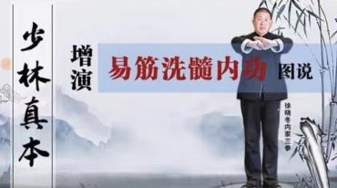 易筋经之韦陀劲十二势