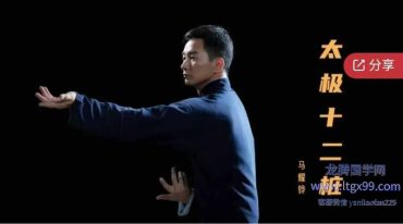 太极十二桩–线上精解桩法活练