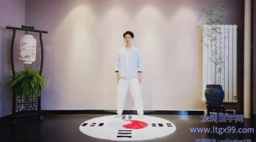 罗子真老师 三合静桩
