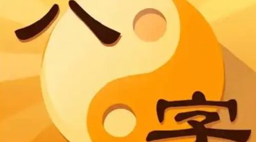 盲派八字读象实例教程系列初中篇 .pdf