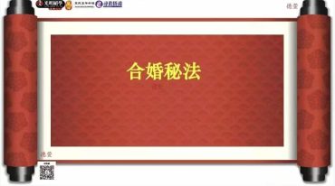 刘晨萱-合婚秘籍103页.pdf